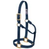 Weaver Leather - Original Non-Adjustable Halter, Navy, 1 Inch Yearling Horse