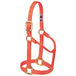 Weaver Leather - Original Non-Adjustable Halter, Blue, 1 Inch Average Horse Or Yearling Draft