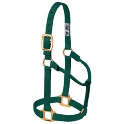 Weaver Leather - Original Non-Adjustable Halter, Hunter Green, 1 Inch Average Horse Or Yearling Draft