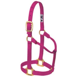 Weaver Leather - Original Non-Adjustable Halter, Raspberry, 1 Inch Average Horse Or Yearling Draft