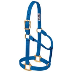 Weaver Leather - Original Non-Adjustable Halter, Blue, 1 Inch Large Horse Or 2-Year-Old Draft