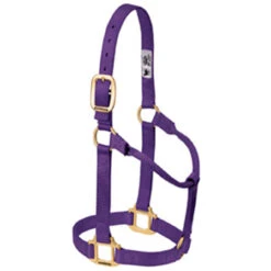 Weaver Leather - Original Non-Adjustable Halter, Purple, 1 Inch Large Horse Or 2-Year-Old Draft