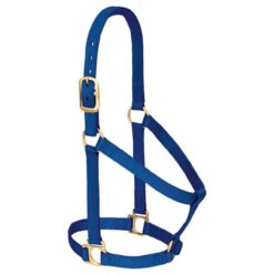 Weaver Leather - Basic Non-Adjustable Halter, Blue, 1 Inch Small Horse Or Weanling Draft