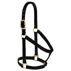 Weaver Leather - Basic Non-Adjustable Halter, Black, 1 Inch Average Horse Or Yearling Draft