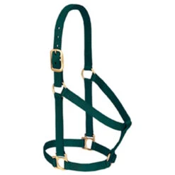 Weaver Leather - Basic Non-Adjustable Halter, Hunter Green, 1 Inch Average Horse Or Yearling Draft