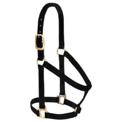 Weaver Leather - Basic Non-Adjustable Halter, Black, 1 Inch Large Horse Or 2-Year-Old Draft