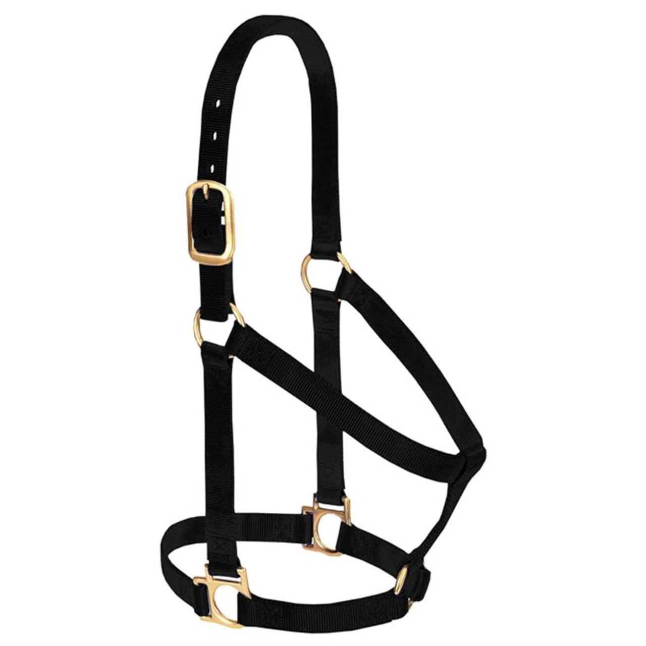 Weaver Leather - Basic Non-Adjustable Halter, Black, 1 Inch Large Horse Or 2-Year-Old Draft