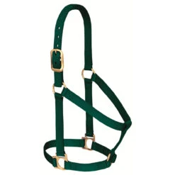 Weaver Leather - Basic Non-Adjustable Halter, Hunter Green, 1 Inch Large Horse Or 2-Year-Old Draft