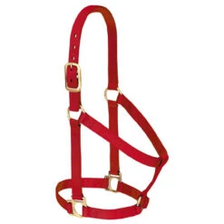 Weaver Leather - Basic Non-Adjustable Halter, Red, 1 Inch Large Horse Or 2-Year-Old Draft