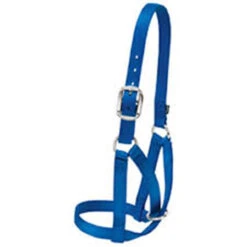 Weaver Leather - Barn Cow Halter, Blue, 1 Inch Medium