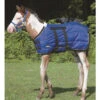 Weaver Leather Foal Blanket, Blue