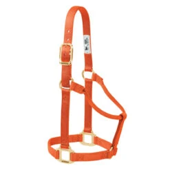 Weaver Leather- Original Non-Adjustable Halter 1" Large Horse Or 2 Year Old Draft Orange