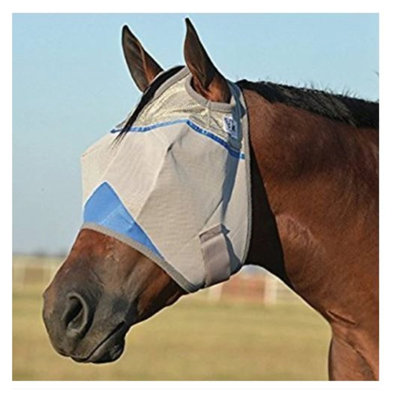Cashel Crusader Fly Mask Blue - CFMHS-BL