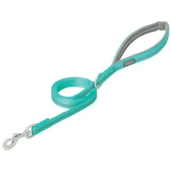 Weaver Leather Reflective Neoprene Lined Mint Dog Leash