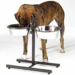 Proselect Adjustable Diner W/Bowls