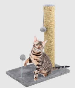Main St. Pet Cat Scratch Post 16X12X20
