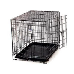 Main St. Pet Large Pet Lodge Double Door Wire Pet Crate- Black