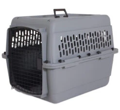 Aspen Pet Traditional Kennel - Assorted Colors