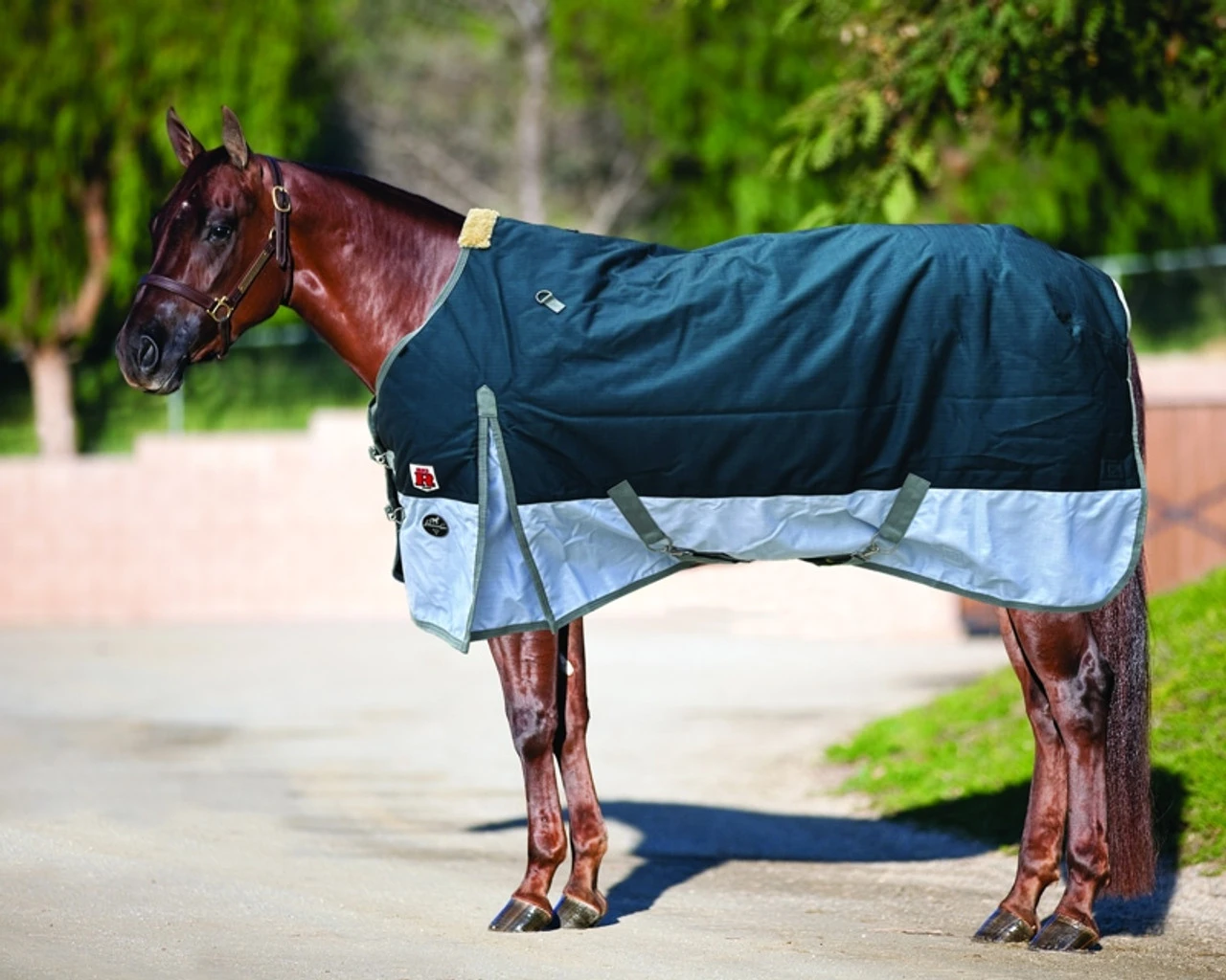 Big R Jade 1200D Turnout Blanket With 300G Fill